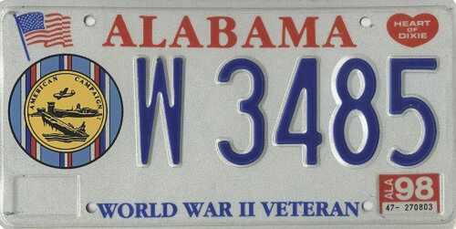World War II Veteran - American Campaign