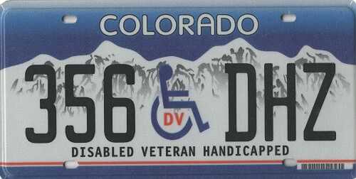 Disabled Veteran