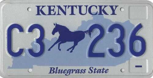 Blue Horse