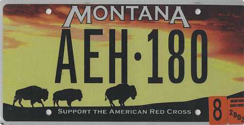 Support The American Red Cross