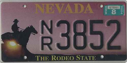 The Rodeo State
