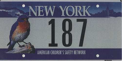 American Children's Safety Network