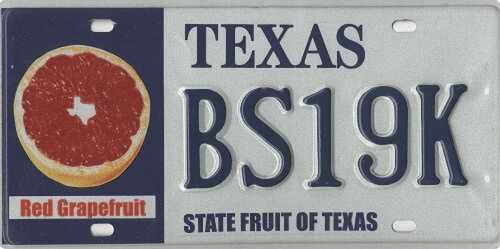 State Fruit Of Texas