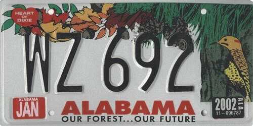Our Forest...Our Future