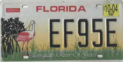 Everglades River Of Grass