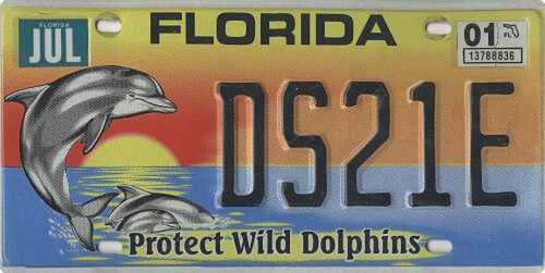 Protect Wild Dolphins