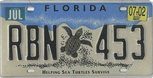 Helping Sea Turtles Survive