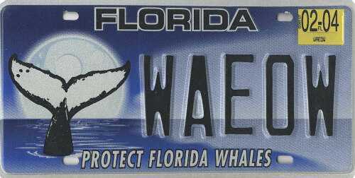 Protect Florida Whales
