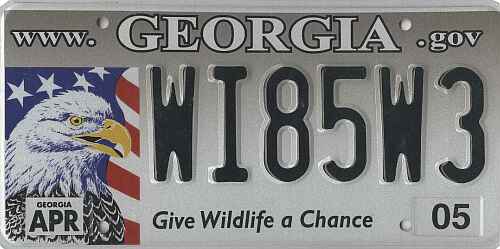 Give Wildlife A Chance - Eagle