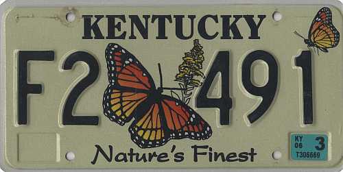 Nature Finest - Butterfly