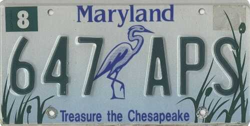 Tresure the Chesapeak