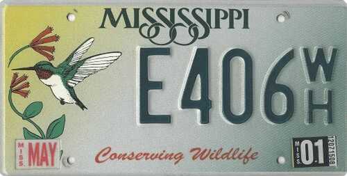 Conserving Wildlife - Hummingbird