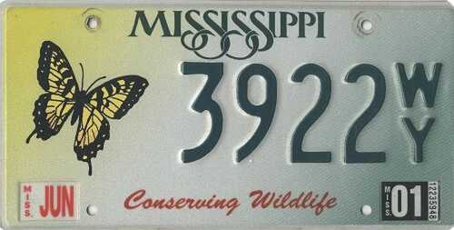Conserving Wildlife - Butterfly