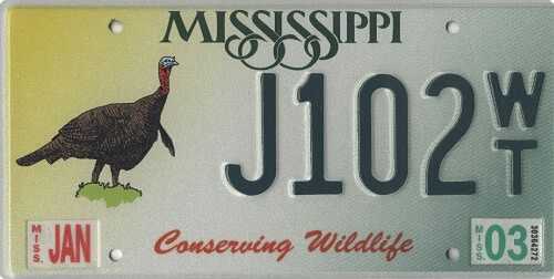 Conserving Wildlfie - Small Turkey