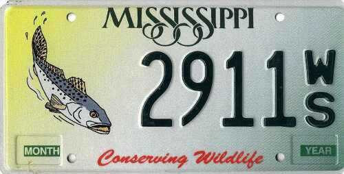 Conserving Wildlife - Silver Fish