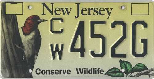 Conserve Wildlife