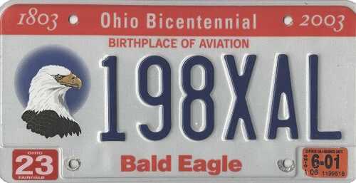 Bald Eagle