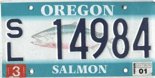 Salmon