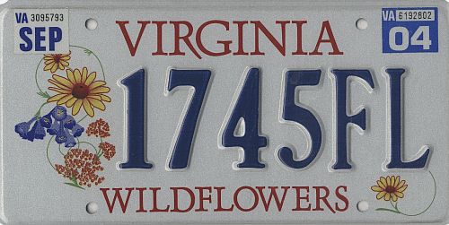 Wildflowers