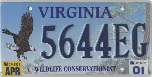 Wildlife Conservationist - Eagle