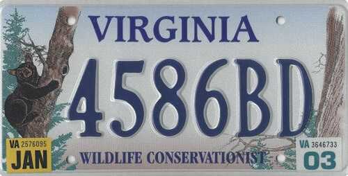 Wildlife Conservationist - Black Bear