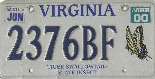 Tiger Swallowtail - State Insect