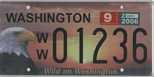 Wild On Washington - Eagle