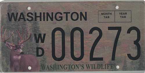 Washington's Wildlife - Deer