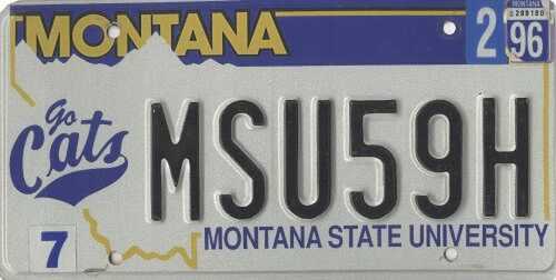 Montana State University
