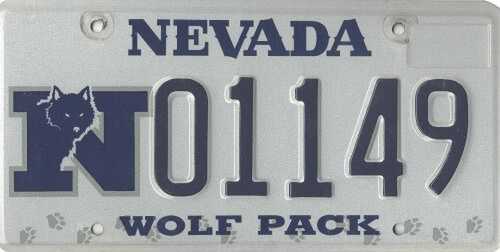 Wolf Pack