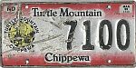 Turtle Mountain Chippewa