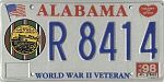 World War II Veteran - European African Middle Eastern Campaign