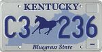 Blue Horse
