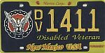 Disabled Veteran