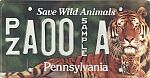 Save Wild Animals