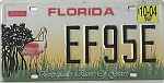 Everglades River Of Grass