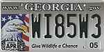 Give Wildlife a Chance - Eagle