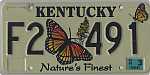 Nature's Finest - Butterlfy
