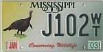 Conserving Wildlife - Small Turkey