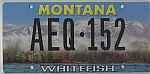 Whitefish