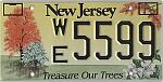 Treasure Our Trees