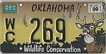 Wildlife Conservation - Deer