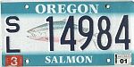 Salmon