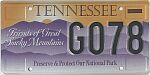 Friends of Great Smokey Mountains