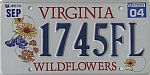 Wildflowers