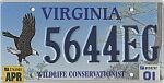 Wildlife Conservationist - Eagle