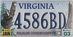 Wildlife Conservationist - Black Bear
