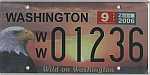 Wild On Washington - Eagle