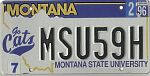 Montana State University